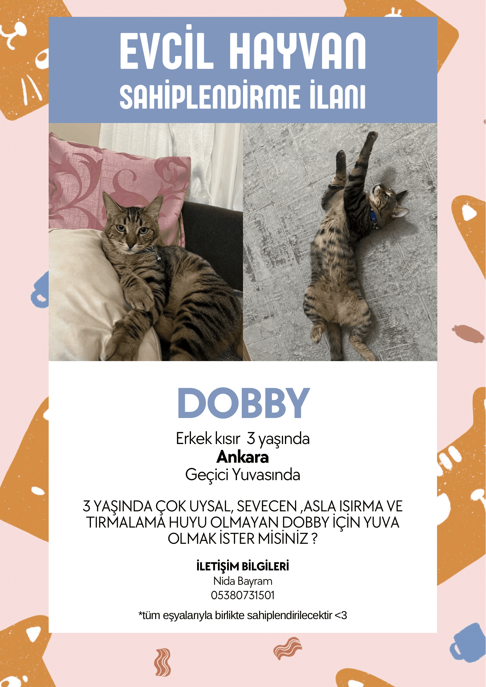 Uysal Dobbye Yuva Arıyoruz küçük fotoğraf 3