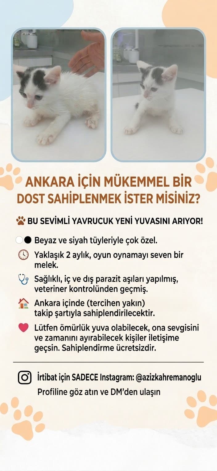 2 Aylık küçük fotoğraf 3