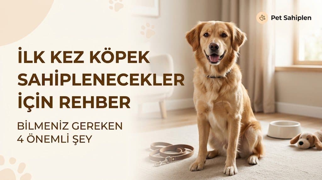 İlk Defa Köpek Sahiplenecekler İçin Bilinmesi Gerekenler